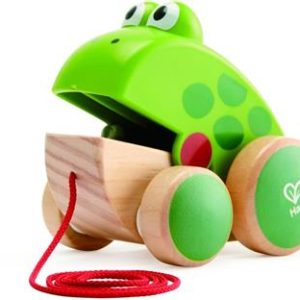 Hape Push & Pull Frog Pull Along  - Βόλτα Με Το Βατραχάκι